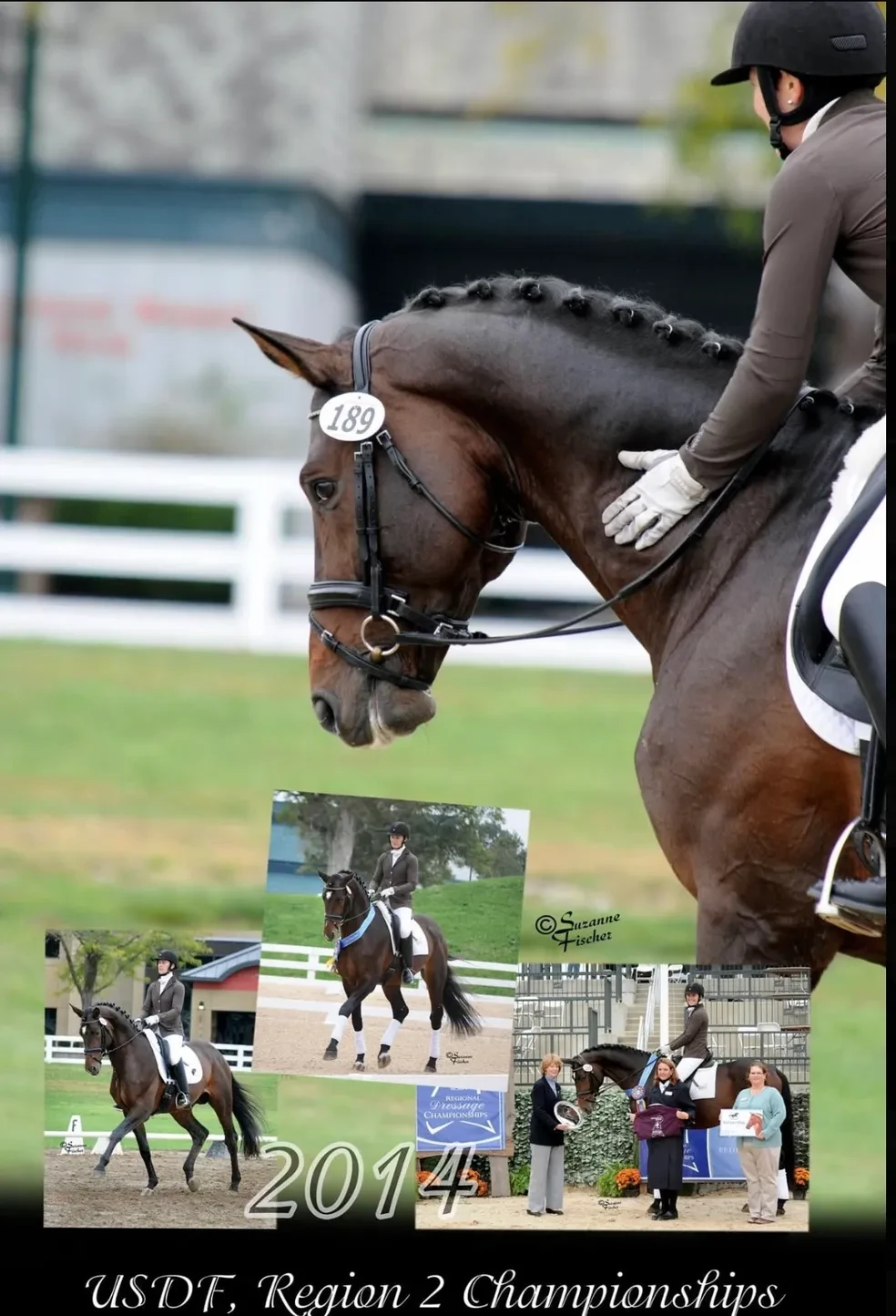 Hemmingway OLD USDF Region 2 Championships 2014 collage