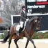 Hemmingway OLD ridden at Henderson KY show