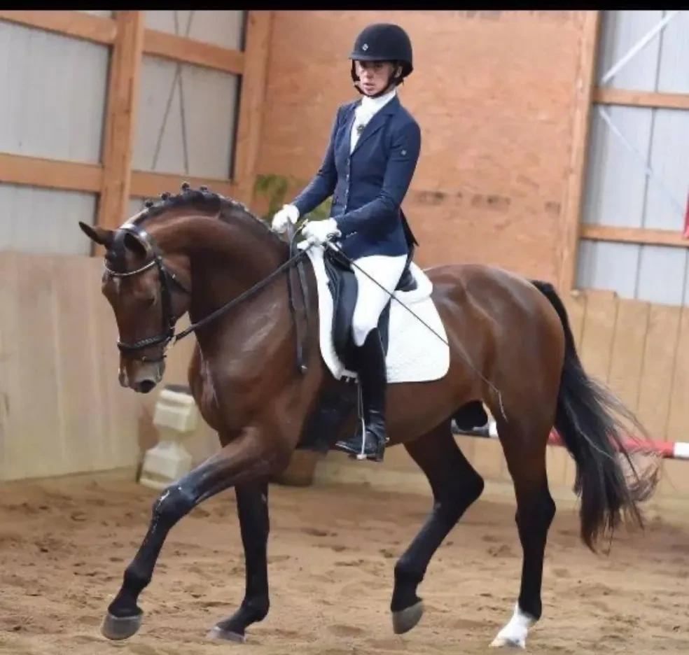Herzchampionate (Hemmingway OLD x Rio/Rotspon)